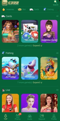 Download C222 Game Latest Apk for Pakistani Users c222 android game