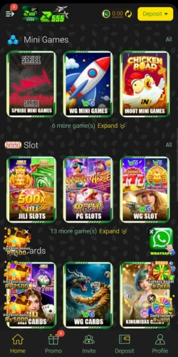 z555 game