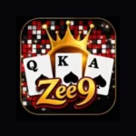 zee9 game