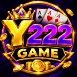 y222 game